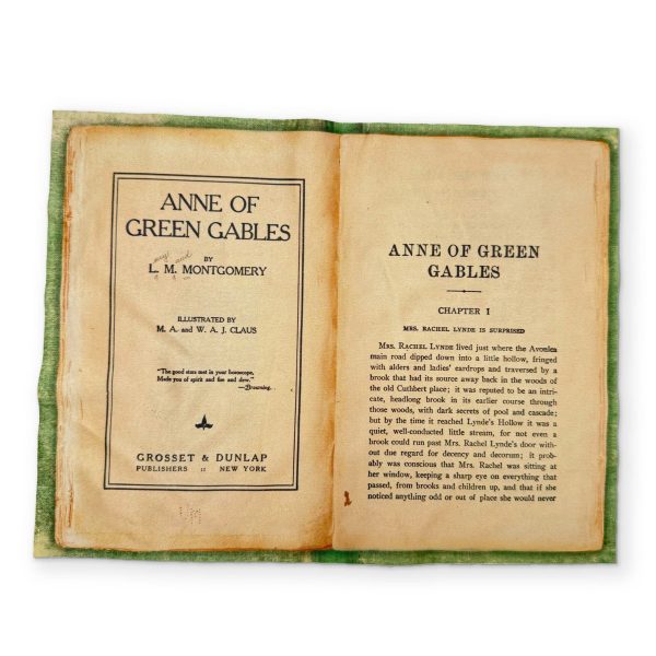 ANNE OF GREEN GABLES - A BOOK YOU CAN CLEAN YOUR GLASSES WITH For Sale - Image 2