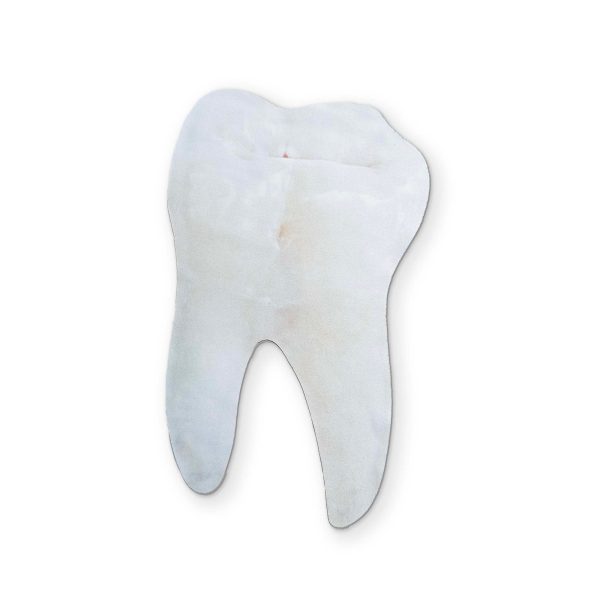 ? A CLEAN TOOTH YOU CAN CLEAN YOUR GLASSES WITH on Sale - Image 2